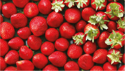 fraises client le petit pois